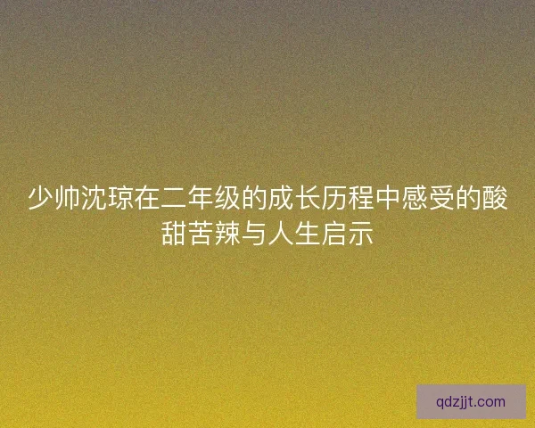 少帅沈琼在二年级的成长历程中感受的酸甜苦辣与人生启示 少帅沈琼在二年级的成长历程中感受的酸甜苦辣与人生启示